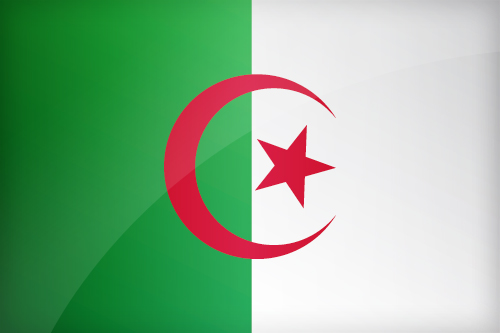 Large Algerian flag