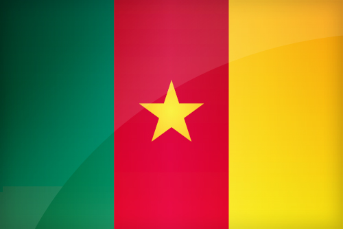 Large Cameroonian flag