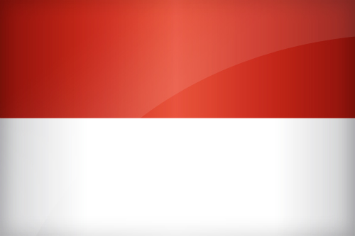 Large Indonesian flag