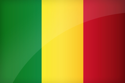 Large Malian flag