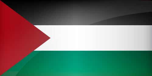 Large Palestinian flag