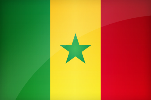Large Senegalese flag