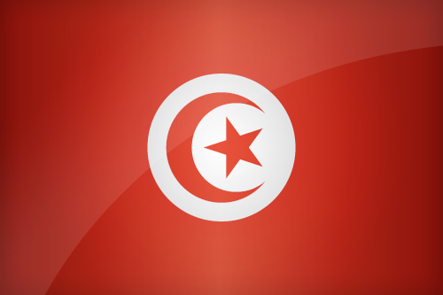 Large Tunisian flag