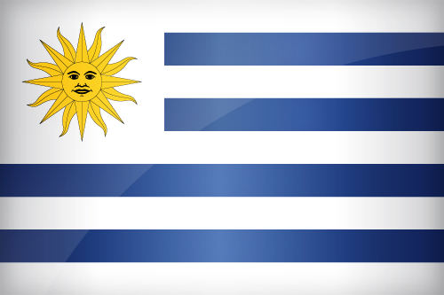 Large Uruguayan flag