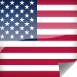America Icon Flag