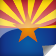 Arizona Icon Flag