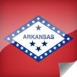 Arkansas Icon Flag