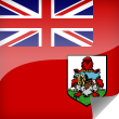 Bermuda Icon Flag