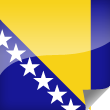 Bosnia and Herzegovina Icon Flag