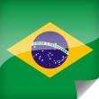 Brazil Icon Flag