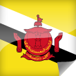 Brunei Icon Flag