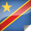 Congo Kinshasa Icon Flag