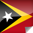 East Timor Icon Flag