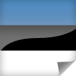 Estonia Icon Flag
