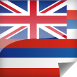 Hawaii Icon Flag