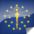 Indiana Icon Flag