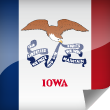 Iowa Icon Flag