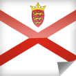 Jersey Icon Flag