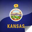 Kansas Icon Flag