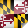 Maryland Icon Flag