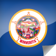 Minnesota Icon Flag