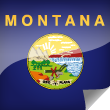 Montana Icon Flag