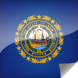 New Hampshire Icon Flag