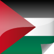 Palestine Icon Flag