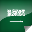 Saudi Arabia Icon Flag