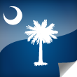 South Carolina Icon Flag