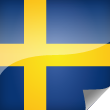 Sweden Icon Flag