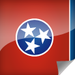 Tennessee Icon Flag