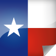 Texas Icon Flag
