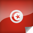 Tunisia Icon Flag