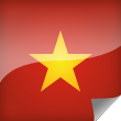 Vietnam Icon Flag