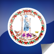 Virginia Icon Flag