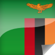 Zambia Icon Flag