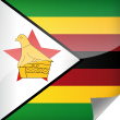 Zimbabwe Icon Flag