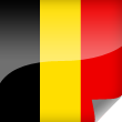 Belgium Icon Flag
