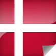Denmark Icon Flag