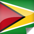 Guyana Icon Flag