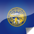 Nebraska Icon Flag