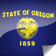 Oregon Icon Flag