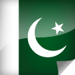 Pakistan Icon Flag