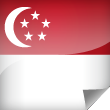Singapore Icon Flag