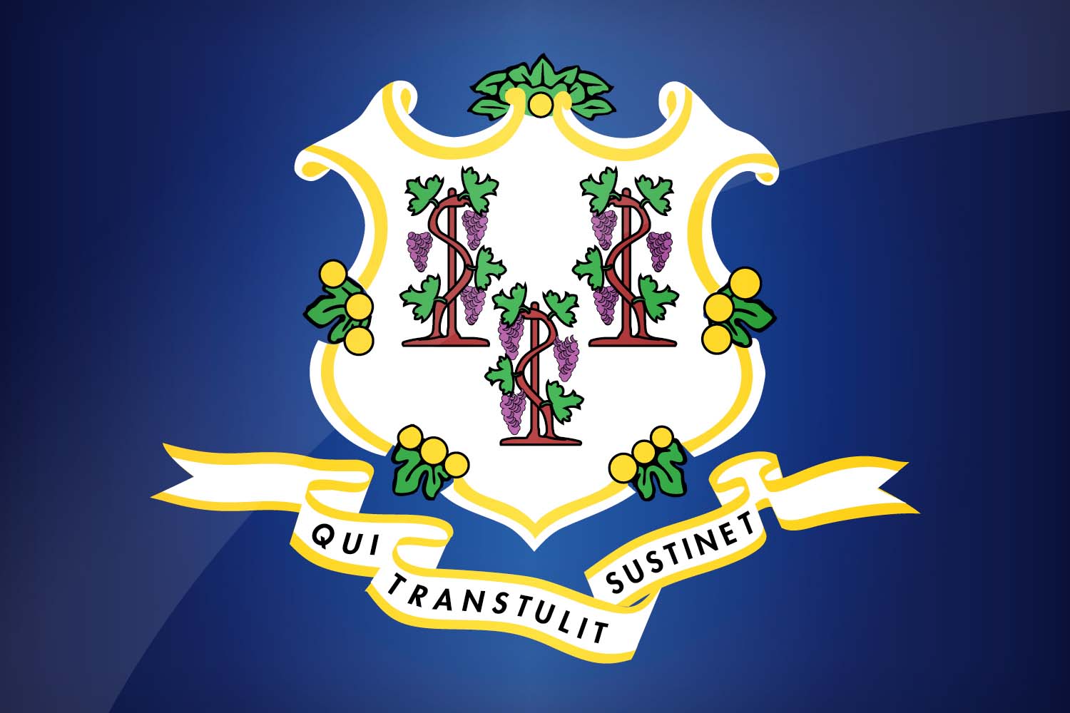 Flag of Connecticut in High Resolution