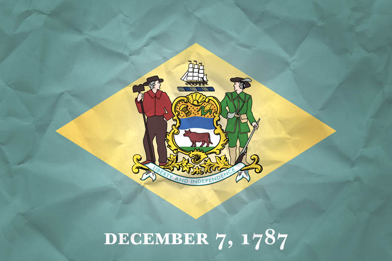 Flag Delaware L Size on Paper