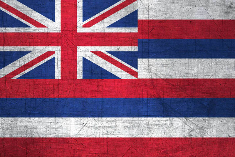 Flag Hawaii L Size with metal background