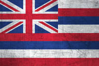 Hawaii Flag Metal Texture