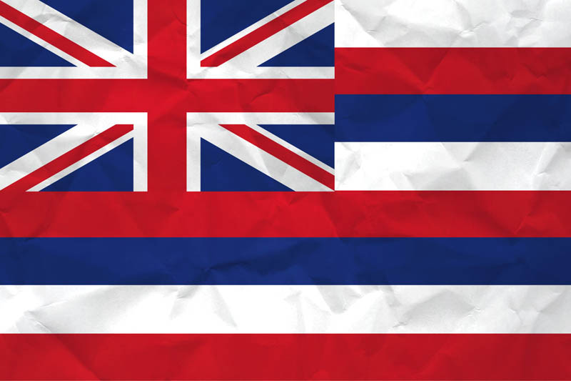 Flag Hawaii L Size on Paper